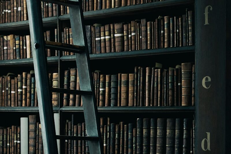 library shelf near black wooden ladder